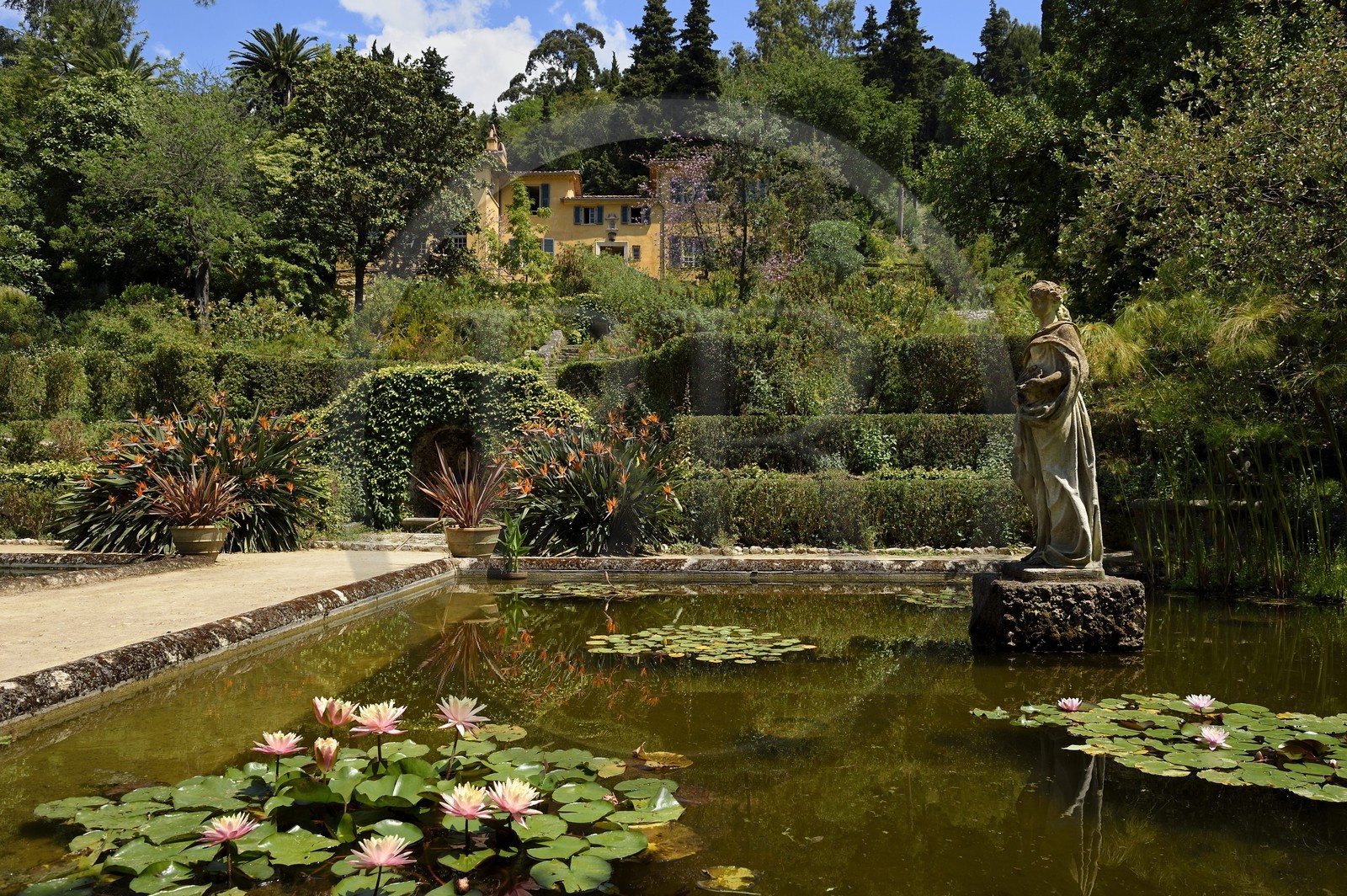 France, Alpes-Maritimes (06), Menton, jardin Serre de la Madone et la villa du major Lawrence Johnston