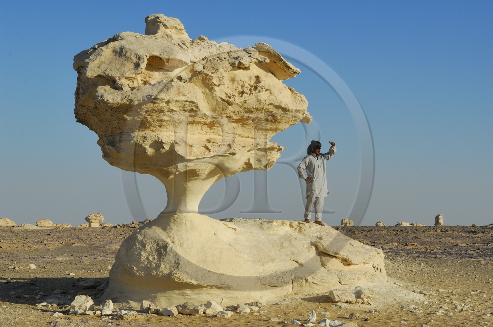 Egypte, désert libyque, le Désert Blanc au nord de Farafra Egypte, désert libyque, le Désert Blanc au nord de Farafra