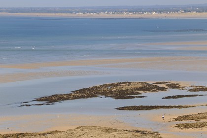 France, Manche (50), Granville, marée basse au pied de la vieille ville