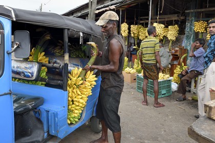 Sri Lanka, Western Province, Colombo District, Colombo, Manning fruits and vegetables market in Pettah district