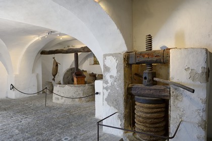 France, Corse-du-Sud (2A), Ajaccio, Musée de la Maison Bonaparte dans la maison natale de Napoléon Bonaparte, moulin à huile dans le sous sol