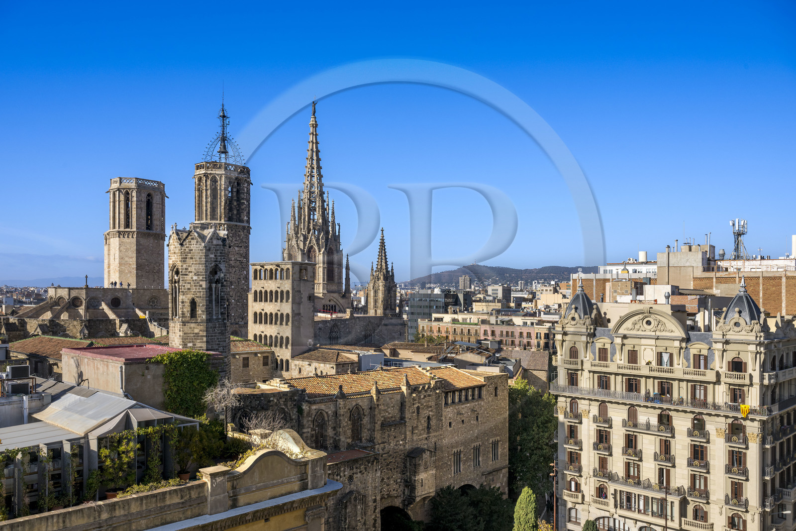 Espagne, Catalogne, Barcelone, quartier Barrio Gotico, cathédrale basilique métropolitaine de la Sainte-Croix et de Sainte Eulalie