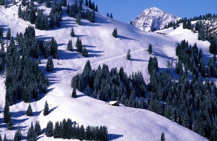 Suisse, région de Bern (Oberland Bernois), Saanenland, piste de ski sur les hauteurs de Gstaad
