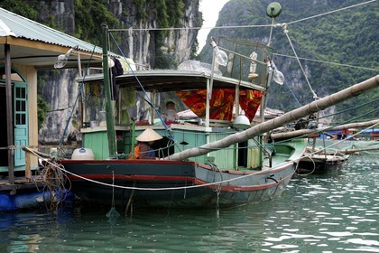 Vietnam, Quang Ninh Province, Halong Bay, listed as World Heritage by UNESCO, fishing floating village of Vong Vieng