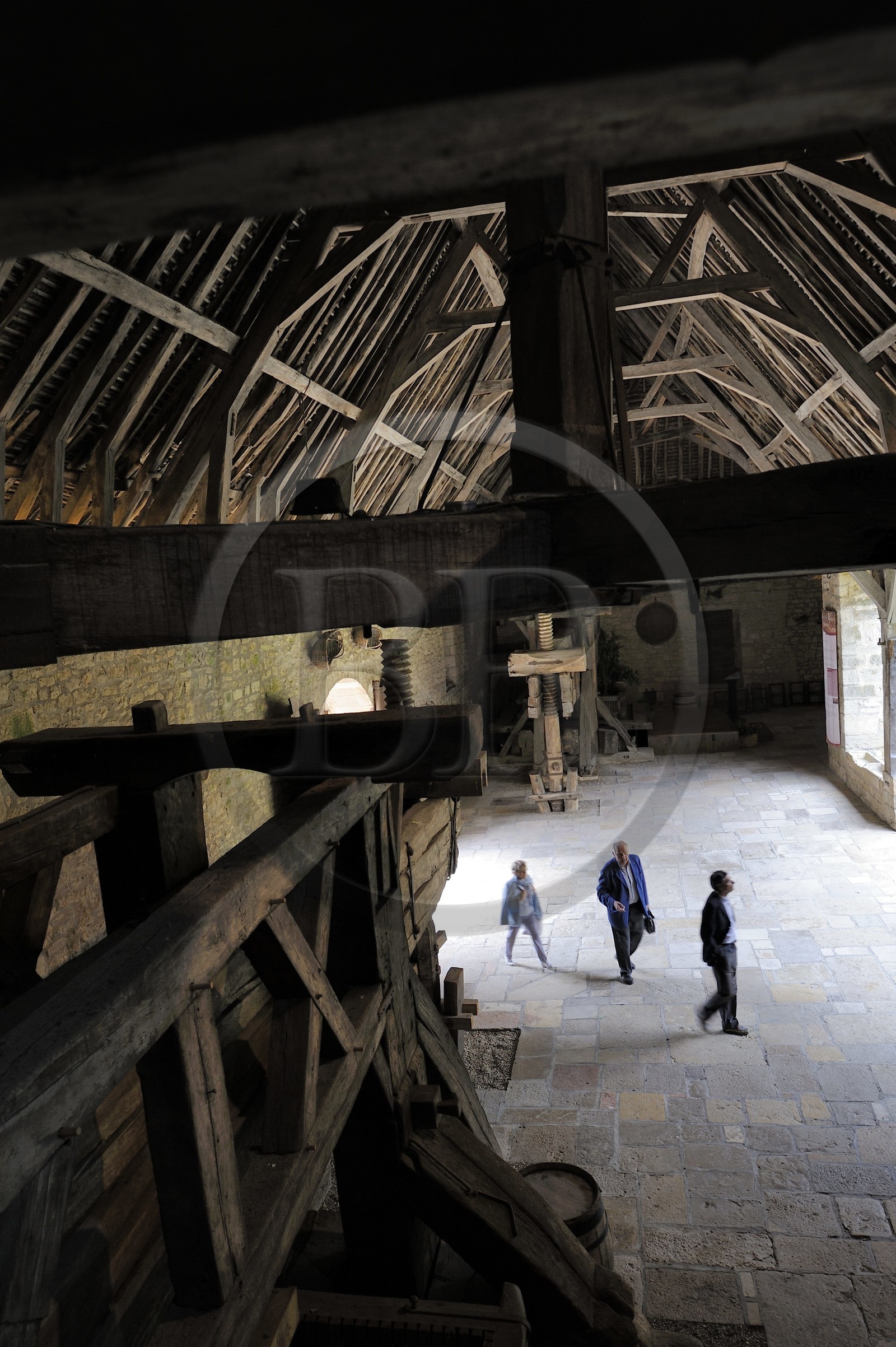 France, Côte-d'Or (21), le Château du Clos-de-Vougeot (vignoble des Côtes de Nuit), la cuverie à l'imposante charpente