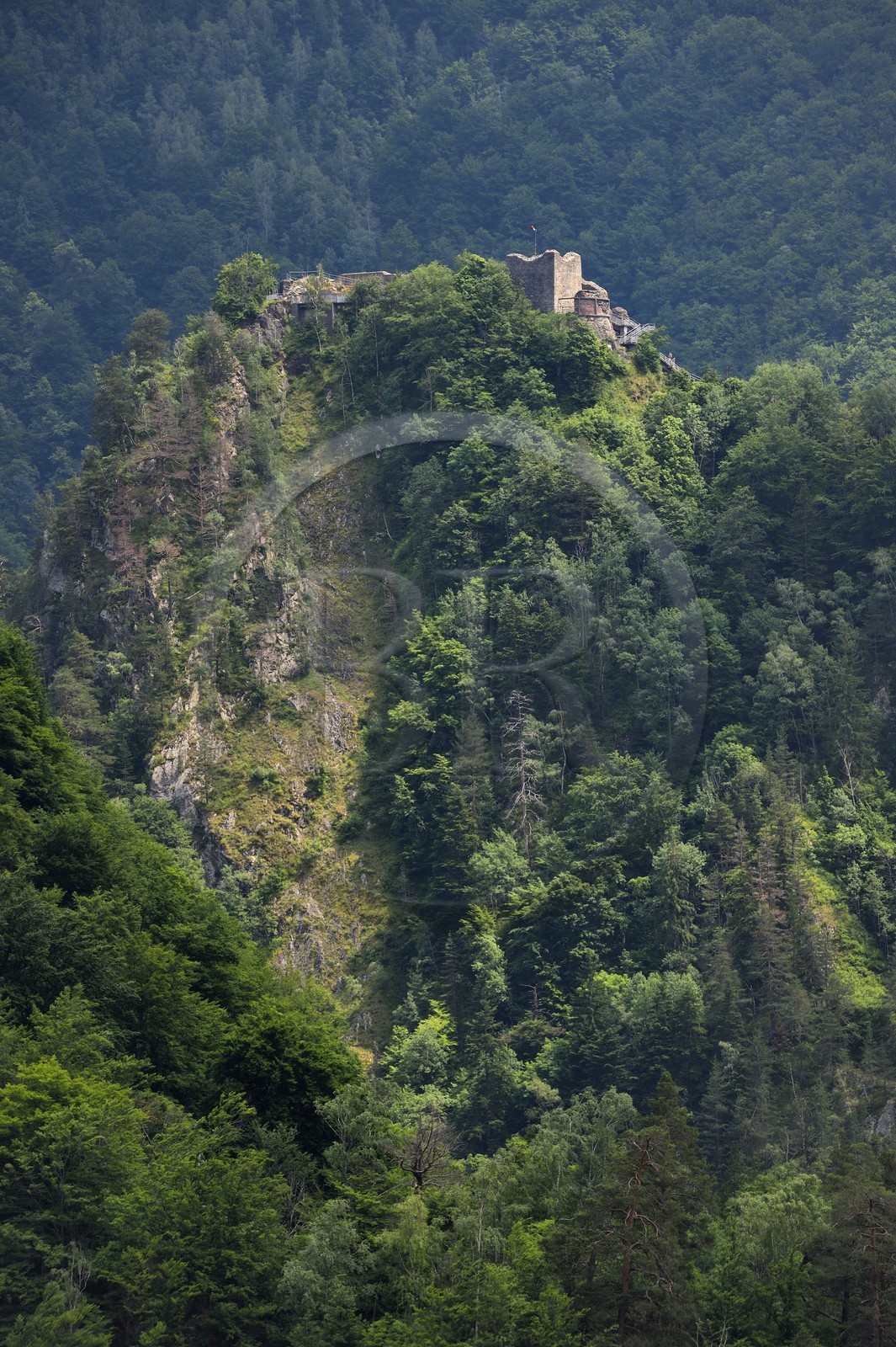 Roumanie, Valachie, Muntenie, Comté de Arges aux abords de la Transylvanie, château de Poenari qui tient une place importante dans la légende de Vlad III l'Empaleur alias Dracula et est réputé pour être hanté Roumanie, Valachie, Muntenie, Comté de Arges aux abords de la Transylvanie, château de Poenari qui tient une place importante dans la légende de Vlad III l'Empaleur alias Dracula et est réputé pour être hanté