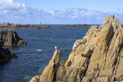 France, Finistère (29), Mer d'Iroise, Ile d'Ouessant, rochers façonnés par les tempêtes au pied du phare du Créac’h