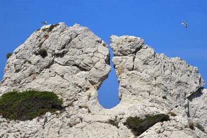 France, Bouches du Rhone, Marseille, Calanques National Park, archipelago of Frioul islands, Pomegues island, the so called pierced rock