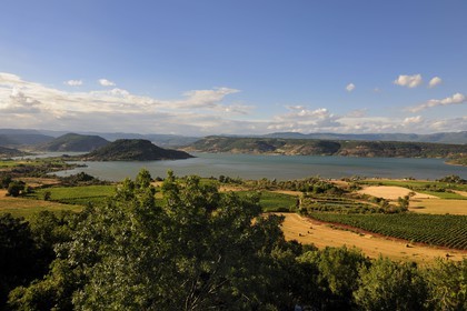 France, Herault, Salagou Lake, fields and vineyard