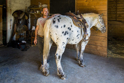 France, Hérault (34), les Causses et les Cévennes, paysage culturel de l'agro-pastoralisme méditerranéen inscrit au Patrimoine Mondial de l'UNESCO, La Vacquerie-et-Saint-Martin-de-Castries, le Mas de Cisco, Jordi Amposta dirige les activités équines avec sa compagne Alexandra Samard