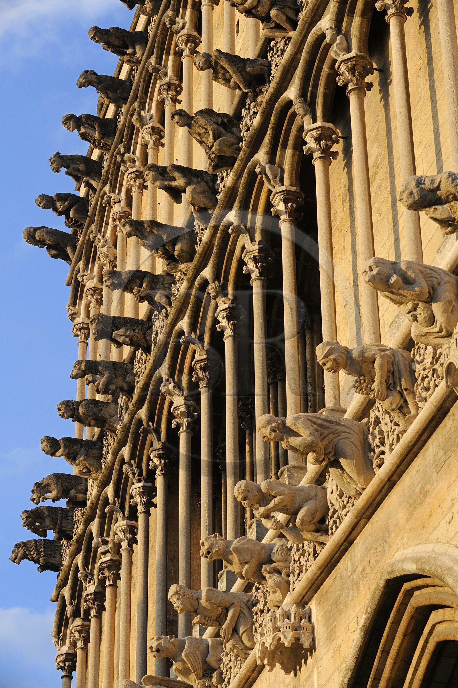 France, Côte d'Or (21), Dijon, l'église Notre-Dame (1230-1250), triple rangées de fausses gargouilles en façade