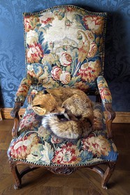 France, Paris, Le Marais District, Musee de la Chasse et de la Nature (Museum of hunting and nature) in the Hotel de Guenegaud