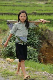 Vietnam, Lao Cai province, North-West Sapa district, young girl from the Blue Hmong minority group in the ricefield