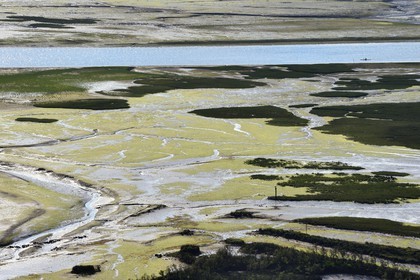 Spain, Basque Country, Biscay Province, Gernika-Lumo region, Urdaibai estuary Biosphere Reserve, estuary of the Oka River at low tide