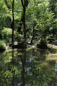 France, Var (83), Provence Verte, Tourves, rivière du Caramy dans les Gorges du Caramy