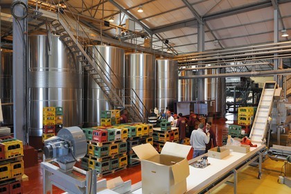 Morocco, Meknes Tafilalet Region, near Meknes, Boufakrane, Les Celliers de Meknes, vats