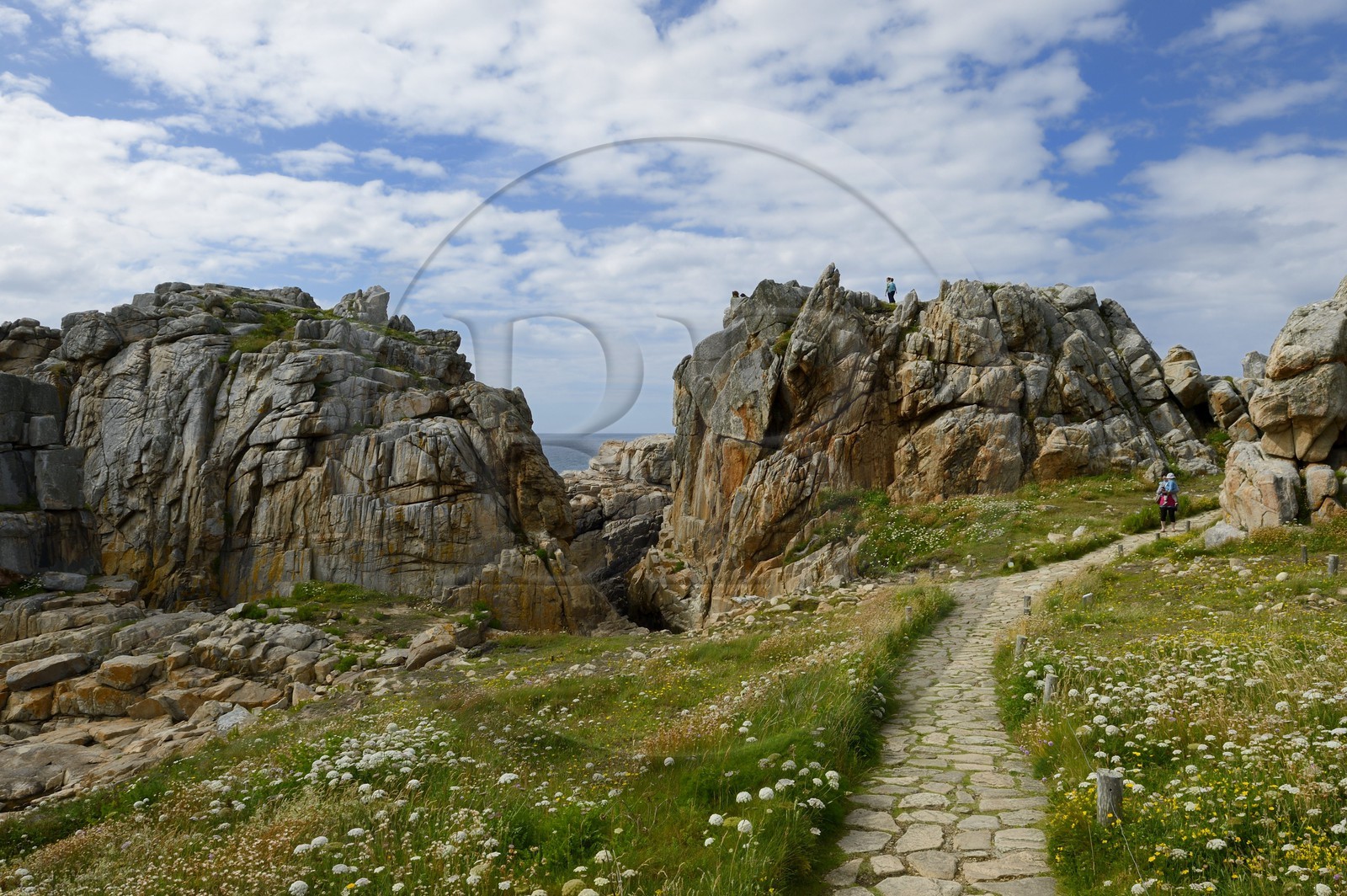 France, Côtes-d'Armor (22), Côte d'Ajoncs, Plougrescant, Anse de Pors Scaff, site du Gouffre