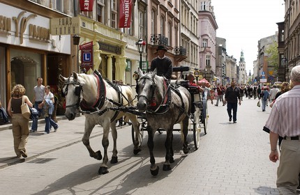 Poland, Lesser Poland region, Krakow, old town (Stare Miasto), horse attachment for tourist walks
