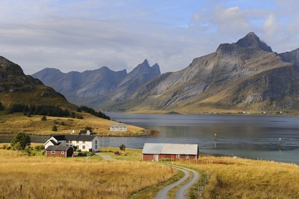 Norvège, Nordland, Îles Lofoten, ferme sur l'Ile de Moskenesoy