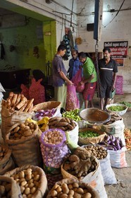 Sri Lanka, Western Province, Colombo District, Colombo, Manning fruits and vegetables market in Pettah district