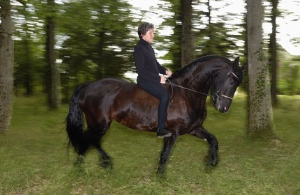 France, l'artiste Marie Laurence de Chauvigny de Blot
