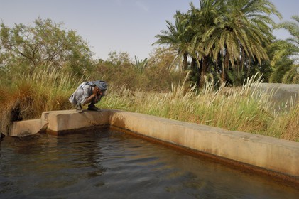 Egypt, Libyan desert, El-Dush oasis south of Kharga