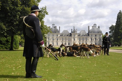 France, Loir et Cher, Chateau de Cheverny, the hunstmen Vol au Vent and La Rosée, who manage the pack of 90 dogs for hunting