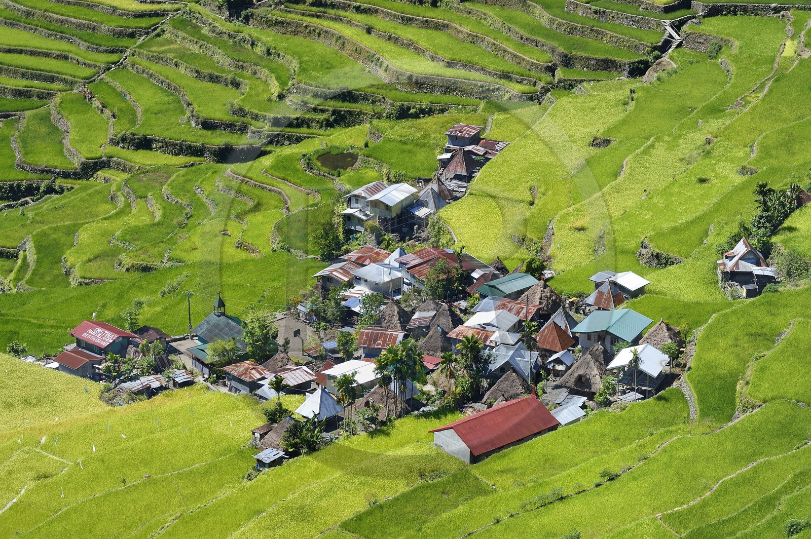 Philippines, province d'Ifugao, les rizières en terrasses de Banaue autour du village de Batad, classées Patrimoine Mondial de l'UNESCO Philippines, province d'Ifugao, les rizières en terrasses de Banaue autour du village de Batad, classées Patrimoine Mondial de l'UNESCO