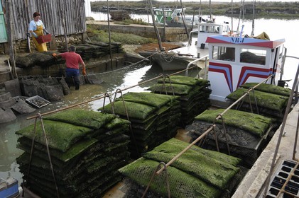 France, Charente-Maritime (17), Ile d'Oléron, le chenal d'Ors, chaland à huîtres dans le port ostréicole