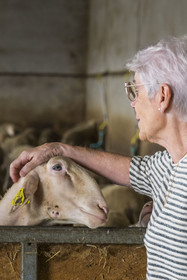 France, Aveyron (12), parc naturel régional des Grands-Causses, Versols-et-Lapeyre, ferme d'Hermilix, l'éleveuse Alice Ricard avec ses brebis Lacaune dont le lait sert pour l'élaboration du roquefort AOP