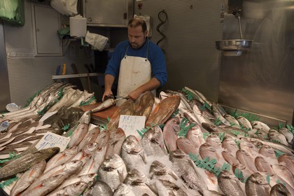 Espagne, Andalousie, Malaga, Mercado Central de Atarazanas, le marché aux poissons dans le marché central