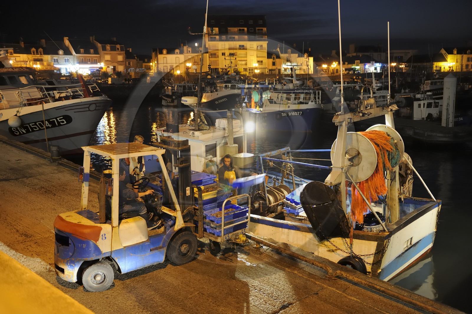 France, Loire-Atlantique (44),  port de La Turballe, retour de pêche au petit matin
