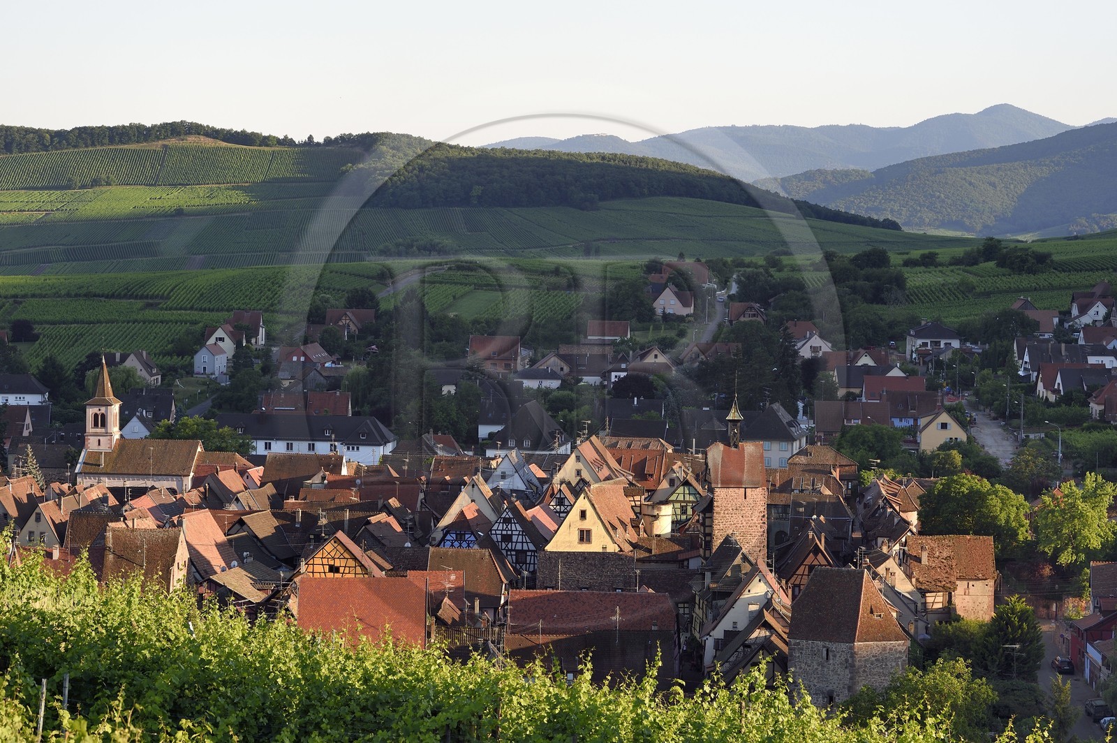 France, Haut-Rhin (68), Route des vins d'Alsace, Riquewihr, labellisé Les Plus Beaux Villages de France France, Haut-Rhin (68), Route des vins d'Alsace, Riquewihr, labellisé Les Plus Beaux Villages de France