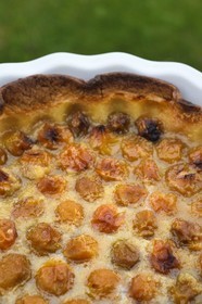 France, tarte aux mirabelles faite maison