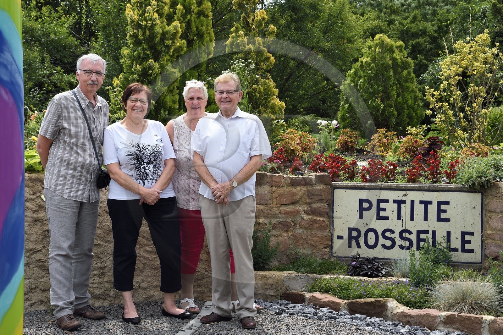 France, Moselle (57), Petite-Rosselle, association Les amis des Roses dans le quartier Wendel nord