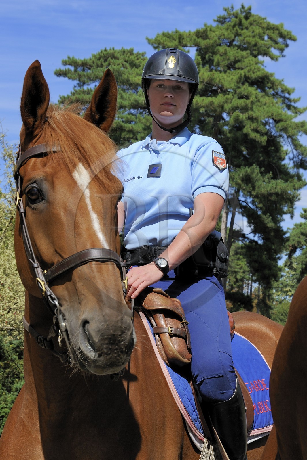 France, Paris (75), Gardes républicains à cheval patrouillant dans le Bois de Boulogne