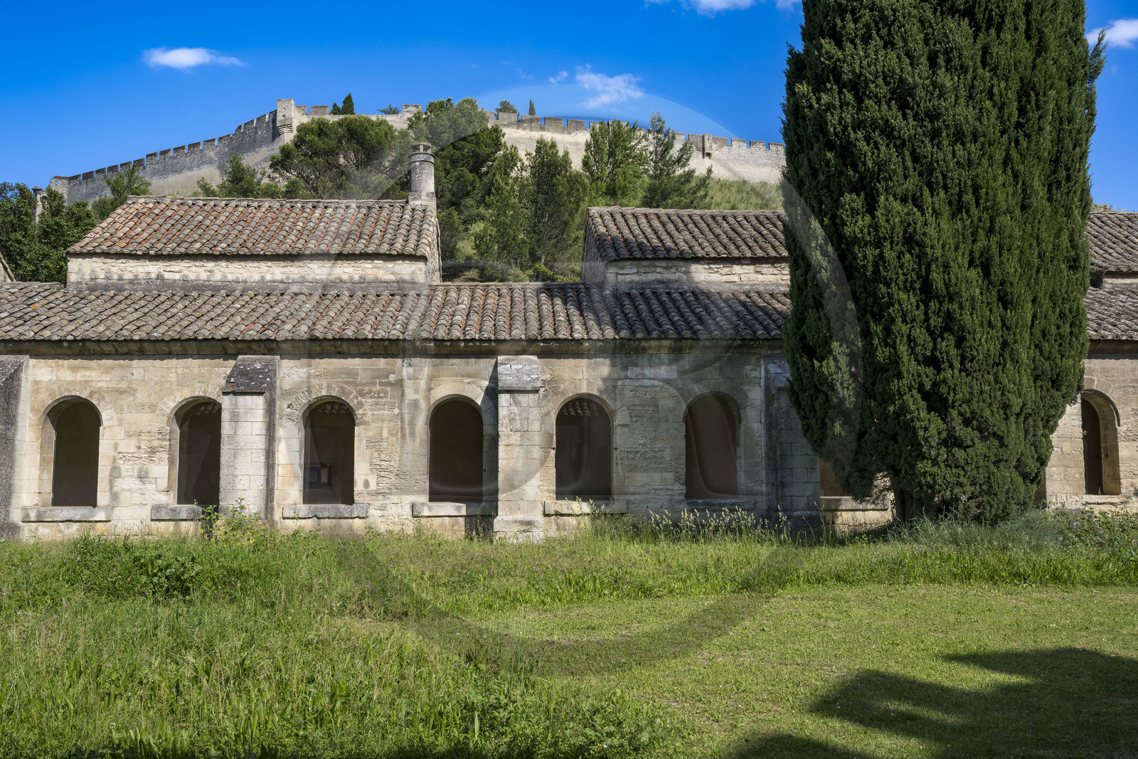 France (30), Gard, Villeneuve-lès-Avignon, la Chartreuse Notre-Dame-du-Val-de-Bénédiction, le grand cloitre ou cloitre des morts surplombé par le Fort Saint André