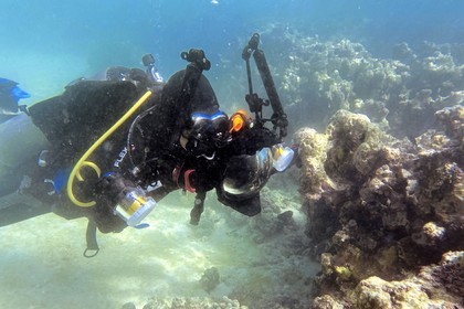 Sultanate of Oman, Governorate of Muscat, Nature Reserve of the Daymaniyat Islands, the photographer-diver Maisa Al Hooti in the coral reef