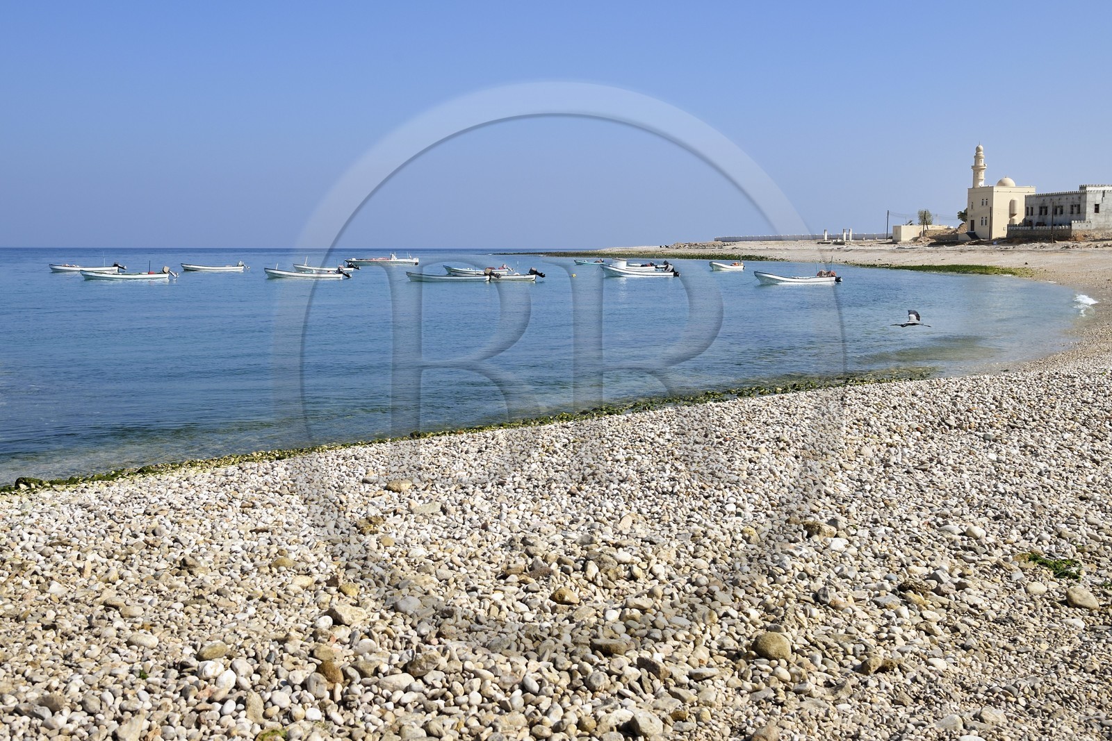 Sultanat d'Oman, région d'Ash Sharqiyah, le village de pêcheurs de Tiwi sur la côte des tortues