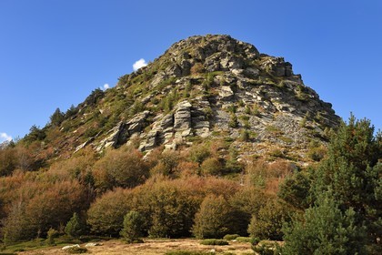 France, Ardeche, parc naturel regional des Monts d'Ardeche (Regional natural reserve of the Mounts of Ardeche), Mont Gerbier de Jonc (altitude of 1551m), source of the Loire river