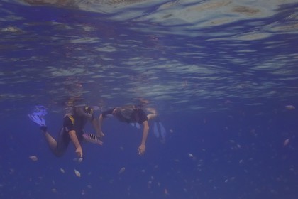 Tanzanie, archipel de Zanzibar, île de Unguja (Zanzibar), côte ouest, réserve naturelle de Chumbe Island Coral Park