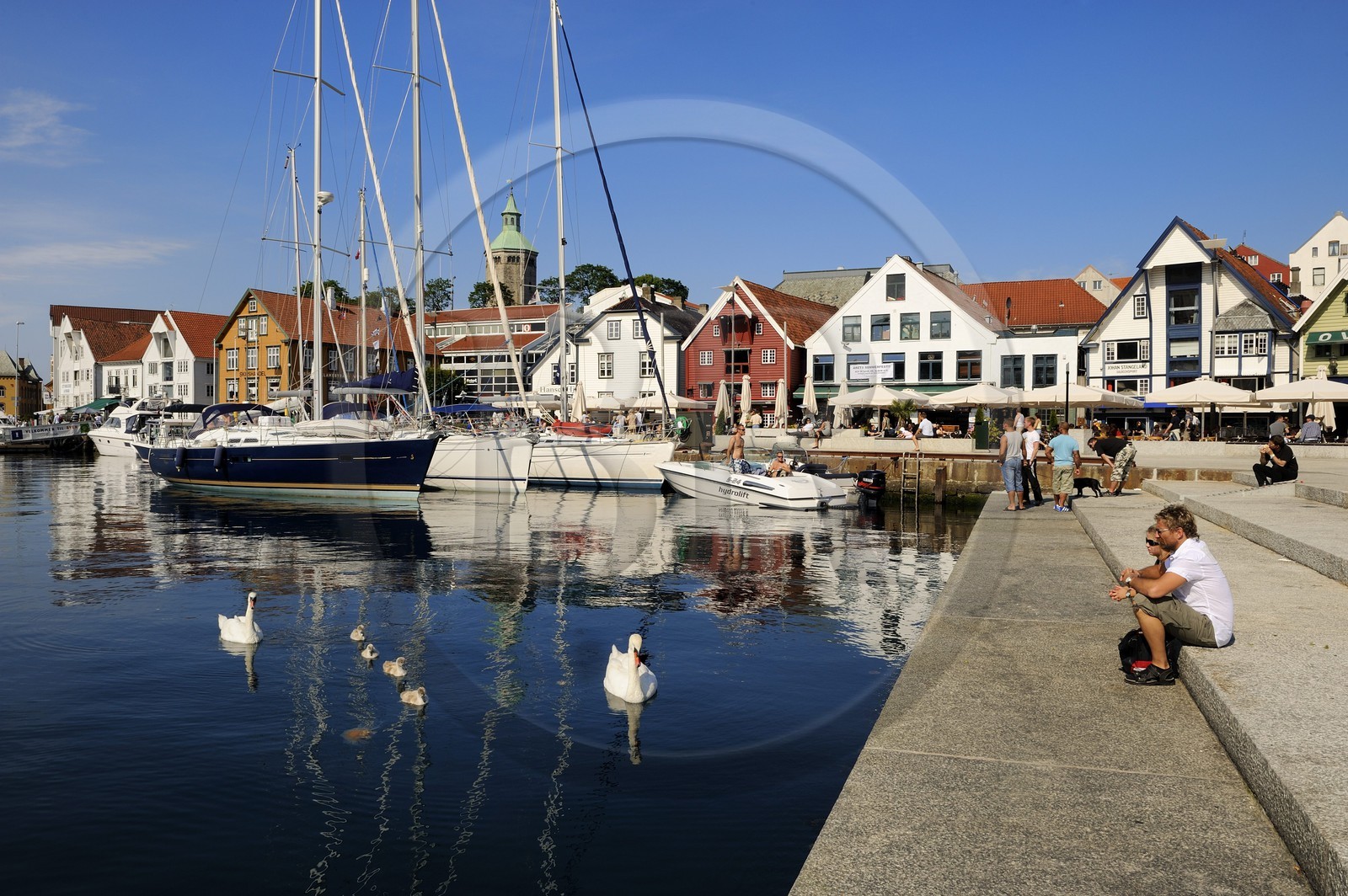 Norway, Rogaland County, Stavanger, pleasure boats and swans in the old harbour (Vagen)