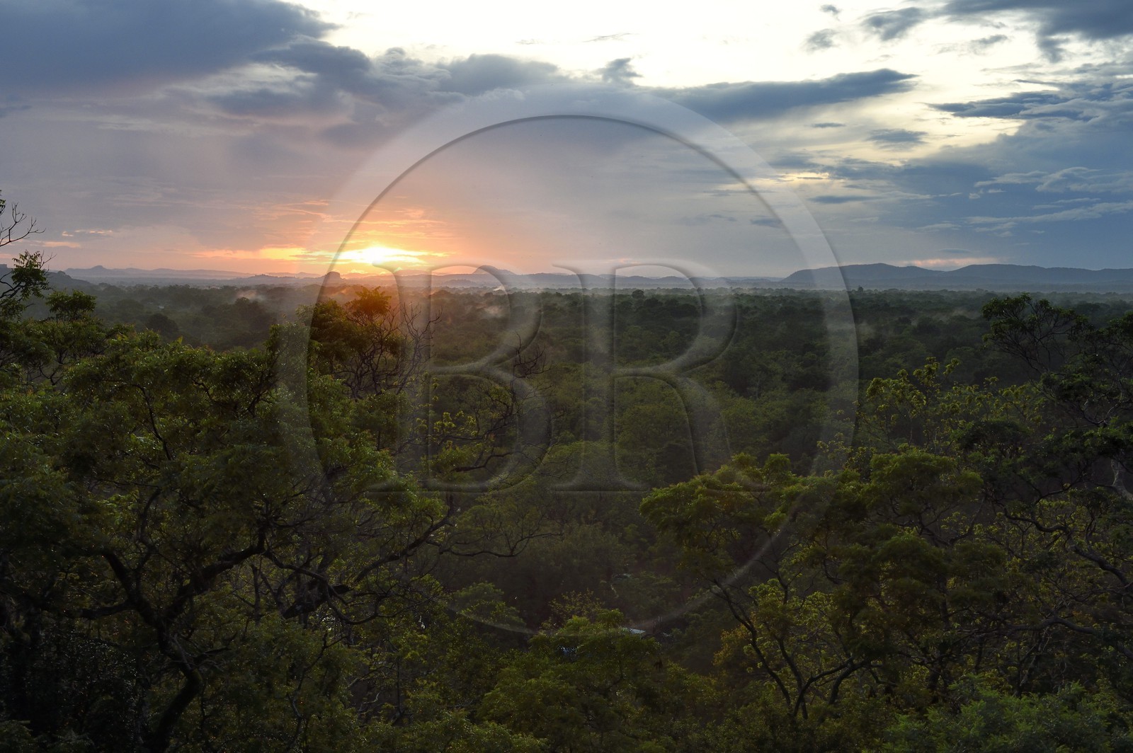 Sri Lanka, province centrale, district de Matale, Sigiriya, ville ancienne de Sigiriya classée patrimoine mondial de l'UNESCO, vue sur le paysage environnant