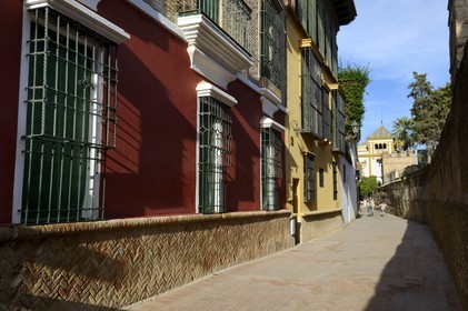 Spain, Andalusia, Seville, Calle Agua or water lane is the geographical heart of the Santa Cruz district and was so named because it ran along an aqueduct still in use that ensured the water supply of the Alcazar