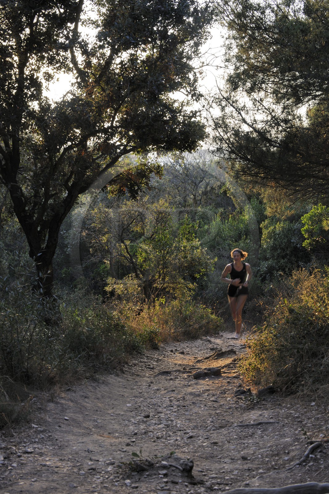 France, Var (83), presqu'île de Giens, jogging dans un sentier de la côte vers la Tour Fondue