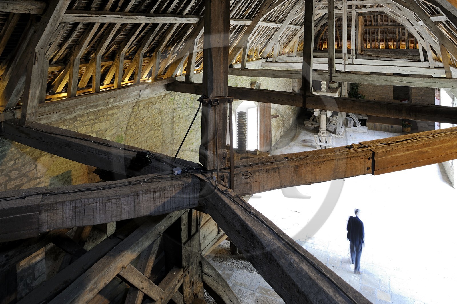France, Côte-d'Or (21), le Château du Clos-de-Vougeot (vignoble des Côtes de Nuit), la cuverie à l'imposante charpente