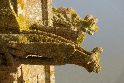 France, Manche, the abbey of Mont Saint Michel, listed as World Heritage by UNESCO, the gargoyles of the church