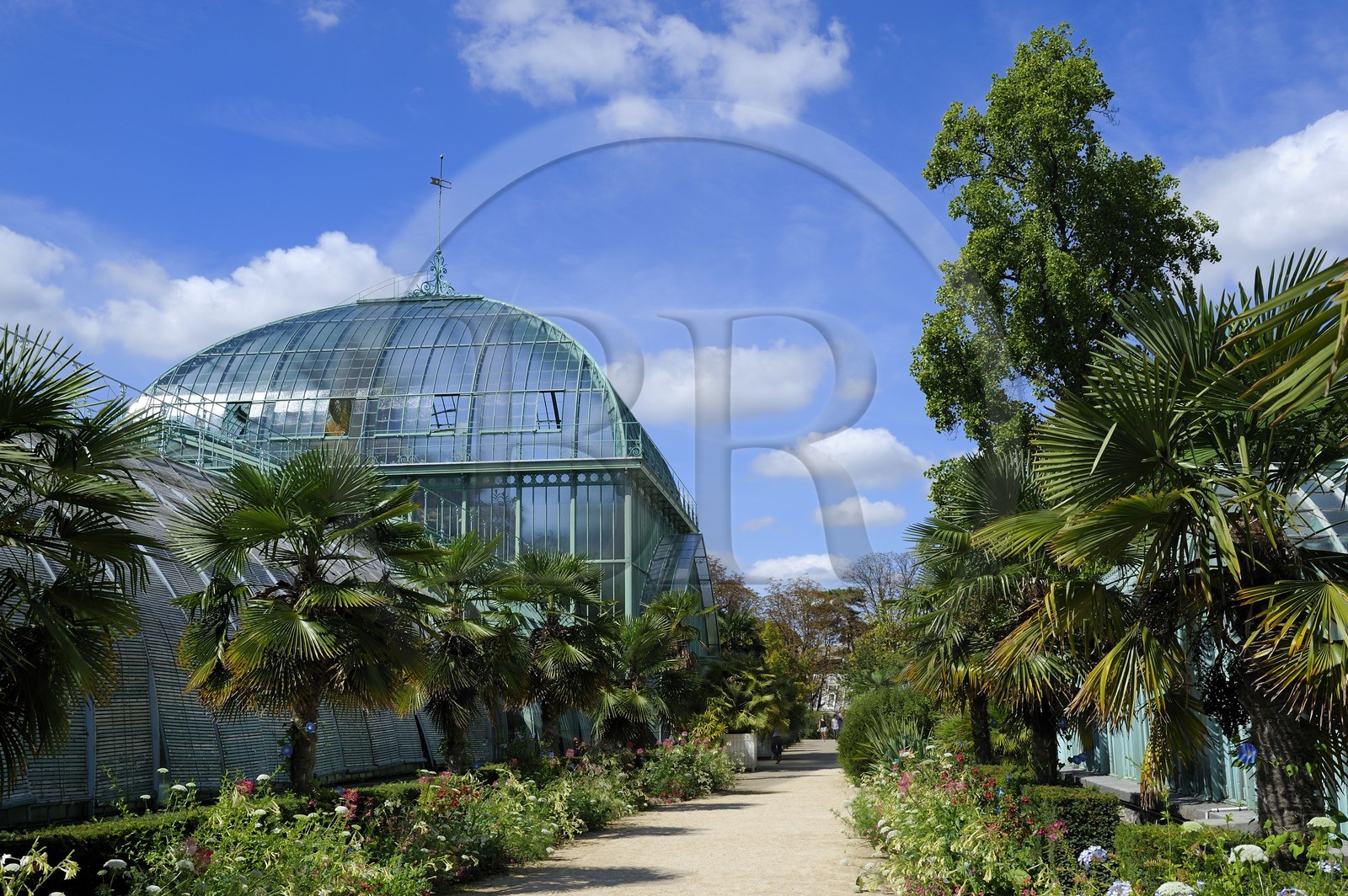 France, Paris (75),  Jardin des Serres d'Auteuil, la grande serre