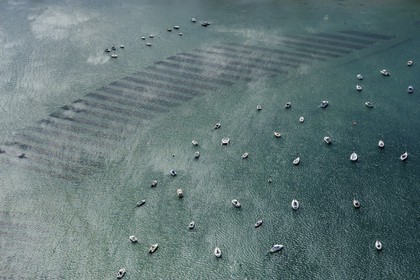 France, Morbihan, Gulf of Morbihan (Golfe du Morbihan), oyster farming in Kerners cove and natural marina (aerial view)