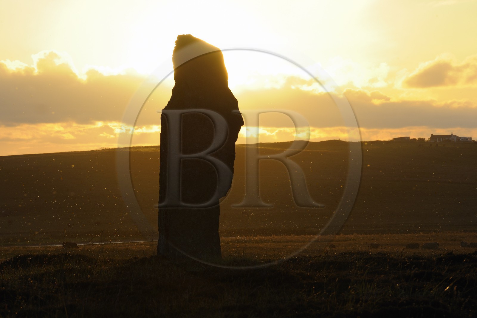 Royaume-Uni, Ecosse, Iles Orcades, Ile de Mainland, Loch of Stenness, cercle de pierres levées du Ring of Brodgar, classées Patrimoine Mondial de l' UNESCO